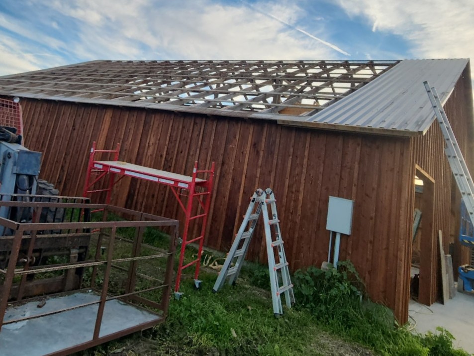 Roof Picture